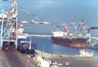 The Israel Ports Authority (IPA) reported last week profits of NIS 518 million for 2004. The profit represents a surge of 430% over 2003, despite the long summer strike at the three main sea ports