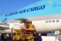 Korean Air Cargo has served the Seoul-Tel Aviv route through a codeshare agreement with El Al Israel Airlines. cargo transport service will be improved in terms of capacity and schedule stability