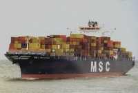 MSC Israel: larger capacity vessels will improve reefer availability to Israeli exporters