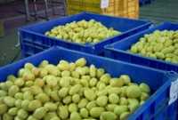 18 Food Importers sue the State of Israel