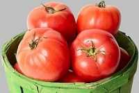 Minister of Finance signed the directive abolishing customs duty on tomatoes until end of 2010. Imports will come from all over the world