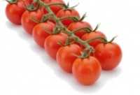 Gaza starts exporting cherry tomatoes