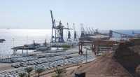 12 bodies move up from the PQ stage in the tender for the sale of the Eilat Port