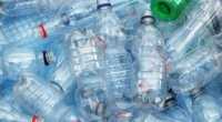 While recycling 77% of their beverage containers in 2011 Israelis has surpassed the government's goal of recycling 73%