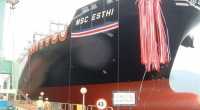 MSC Esthi called for the first time at Haifa