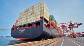 Protestors Failed to Block Zim Ship at Tampa Bay